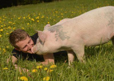 Ein Schwein auf dem Erdlingshof in Kollnburg.